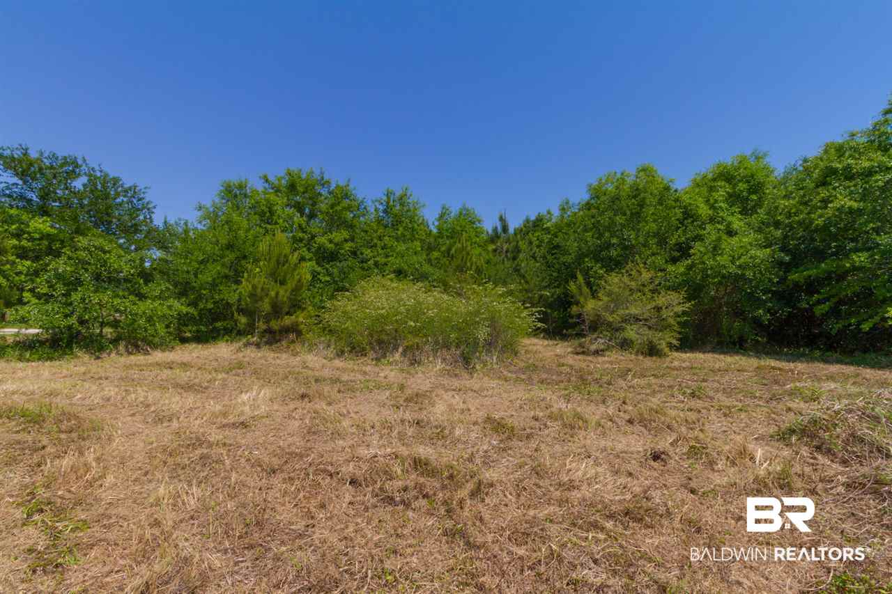 15748 Carver Road Foley, AL 36535 - Photo 4 of 6 Gallery Image 4