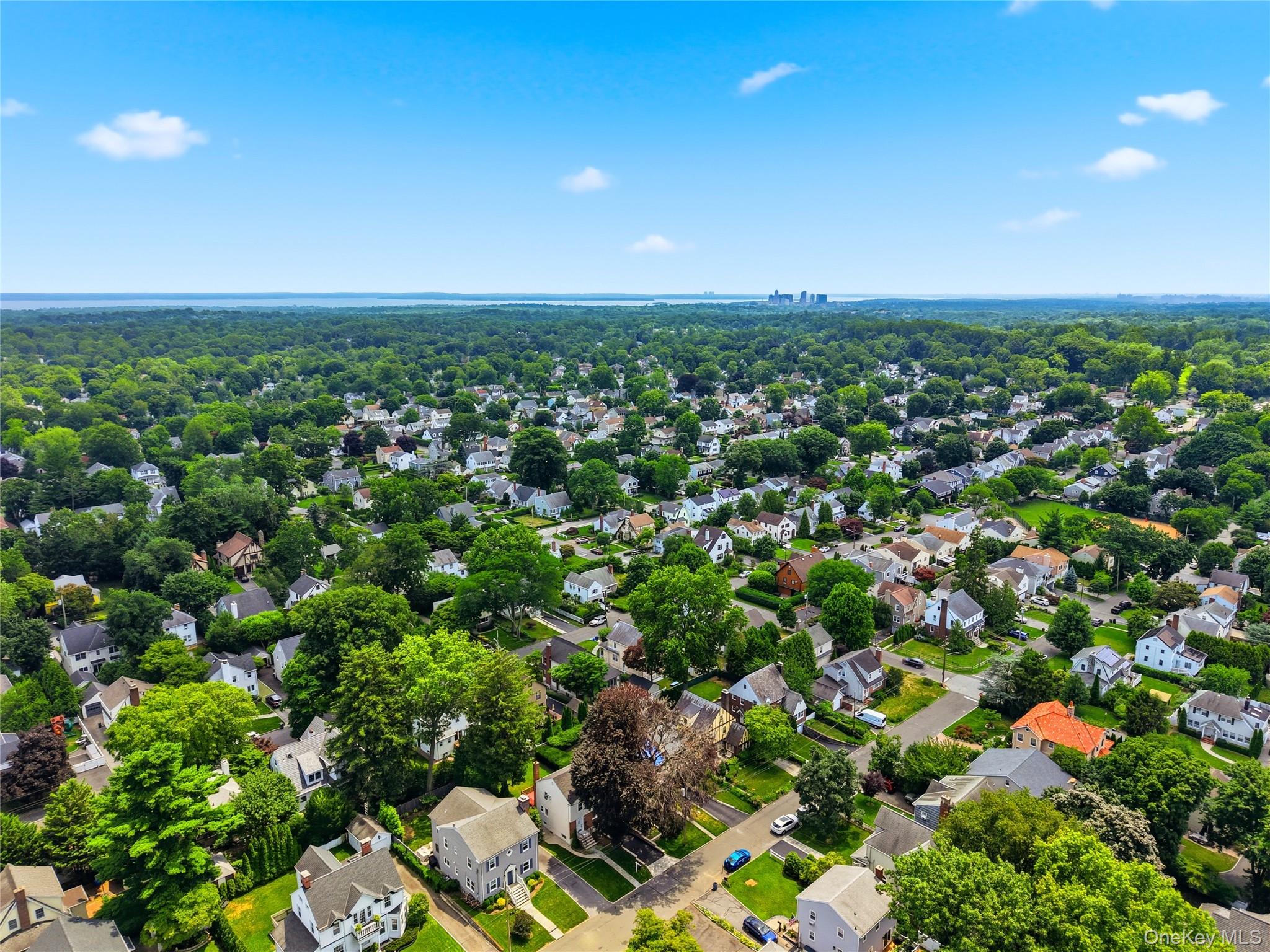 144 Bell Road Scarsdale, NY 10583 - Photo 44 of 49 Expansive aerial perspective showcasing a residential neighborhood with mature tree canopies