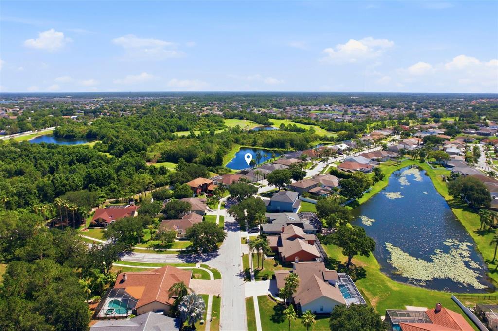 13010 Prestwick Drive Riverview, FL 33579 - Photo 48 of 60