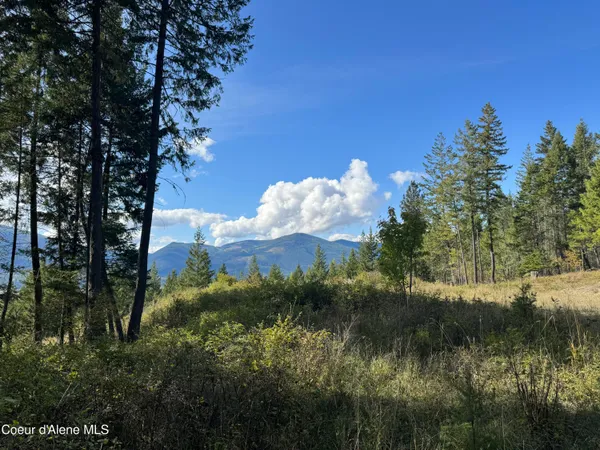 $320,000 | Nna Nna Bootlegger Lane, Bonners Ferry, ID 83805