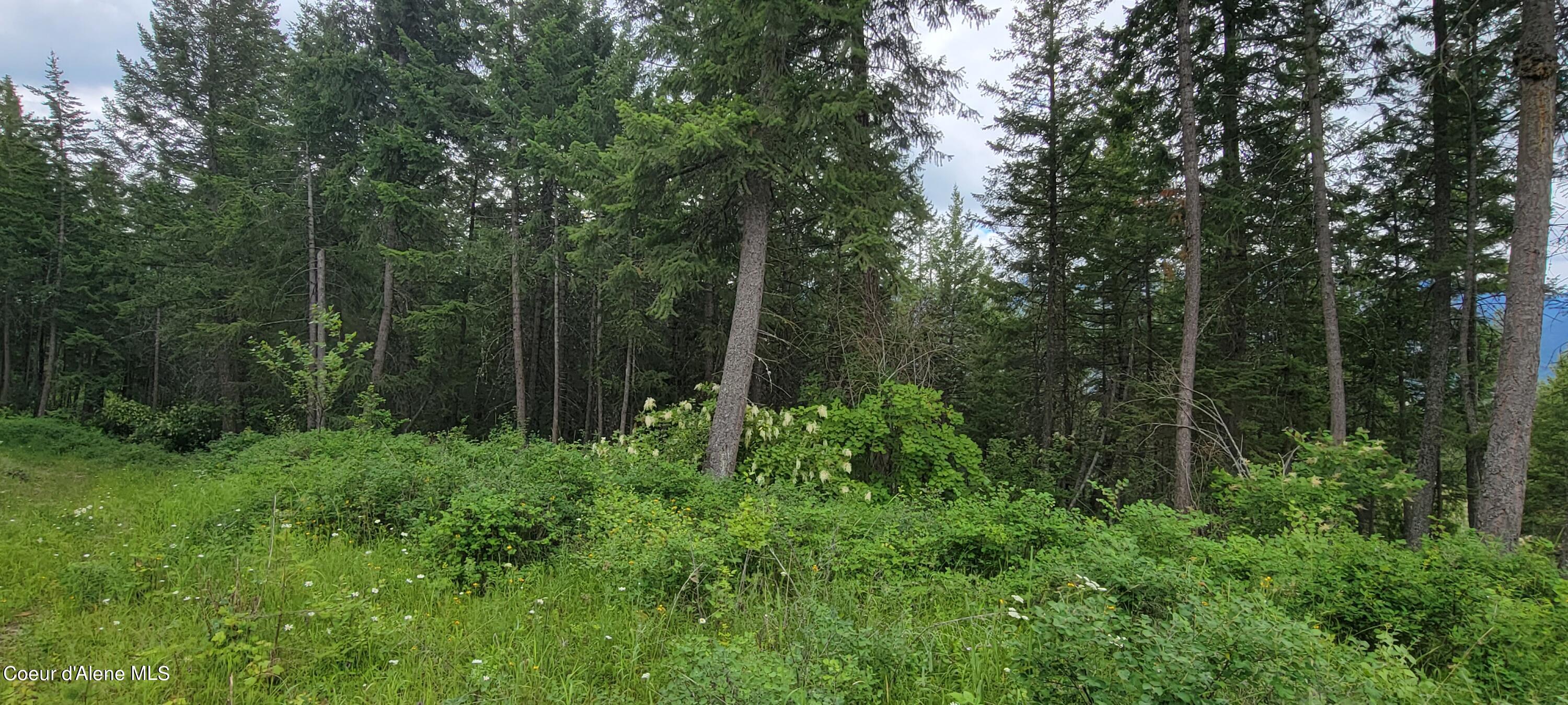 Nna Nna Bootlegger Lane Bonners Ferry, ID 83805 - Photo 6 of 11 20230619_102648