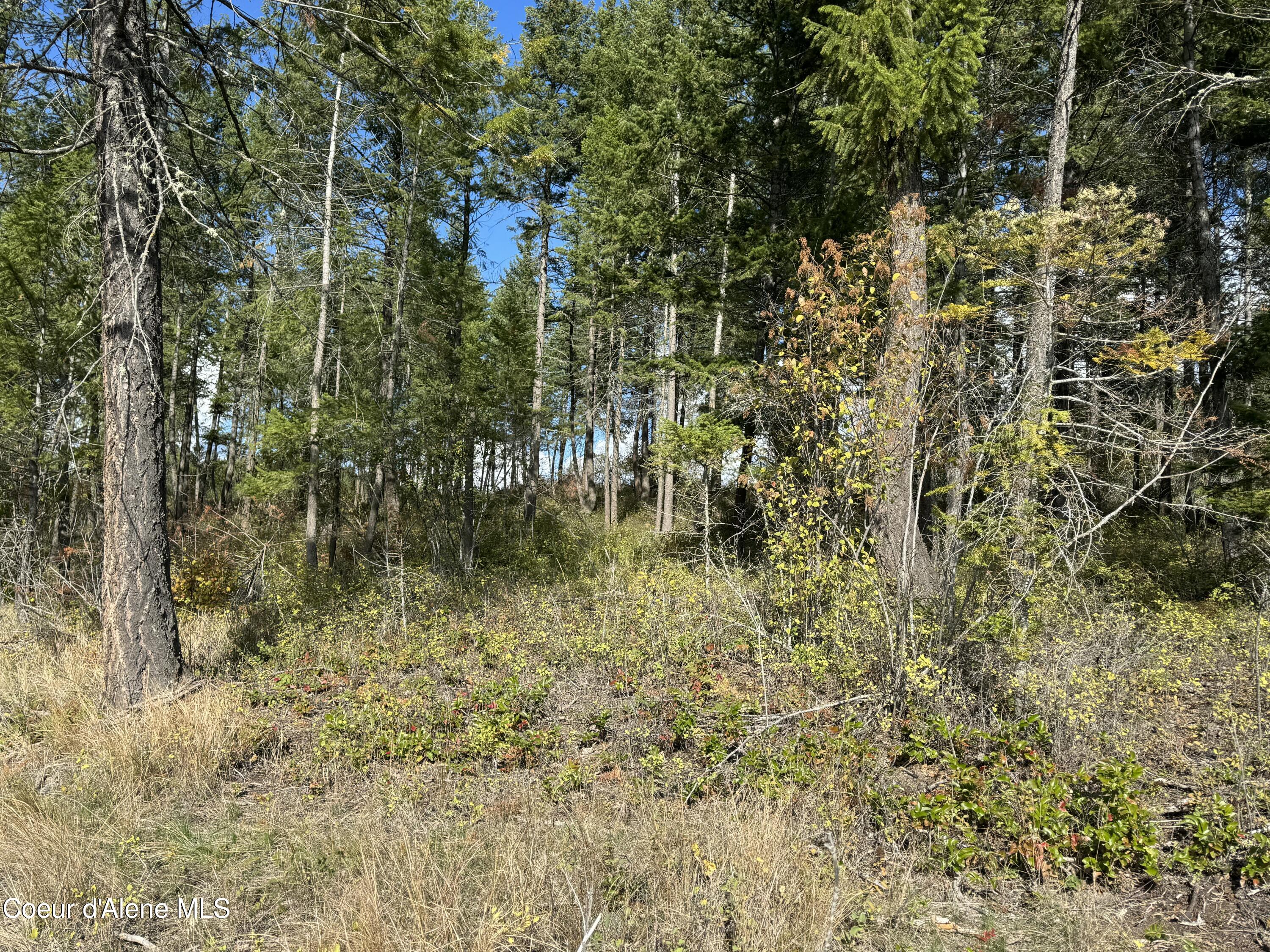 Nna Nna Bootlegger Lane Bonners Ferry, ID 83805 - Photo 7 of 11 IMG_0041