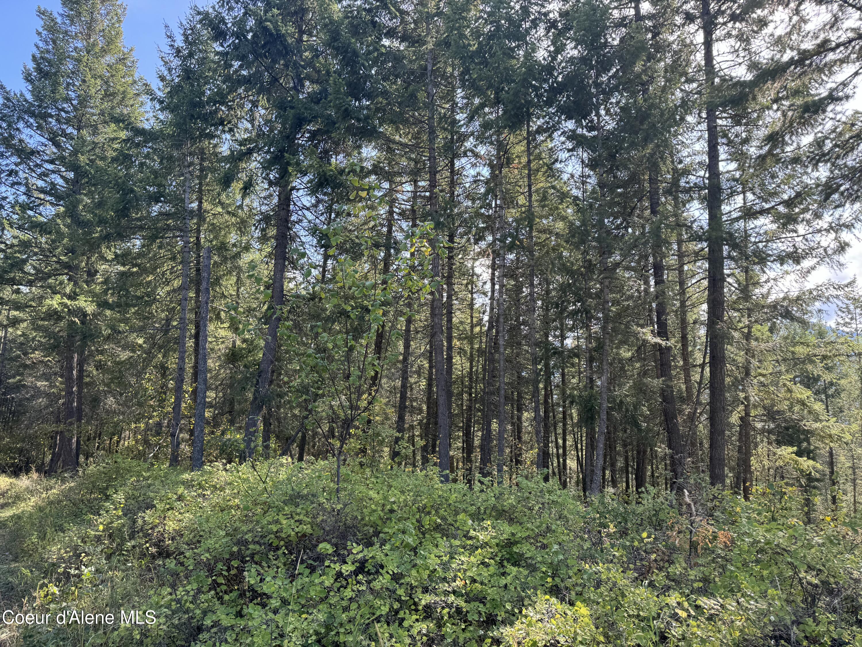 Nna Nna Bootlegger Lane Bonners Ferry, ID 83805 - Photo 9 of 11 IMG_0057