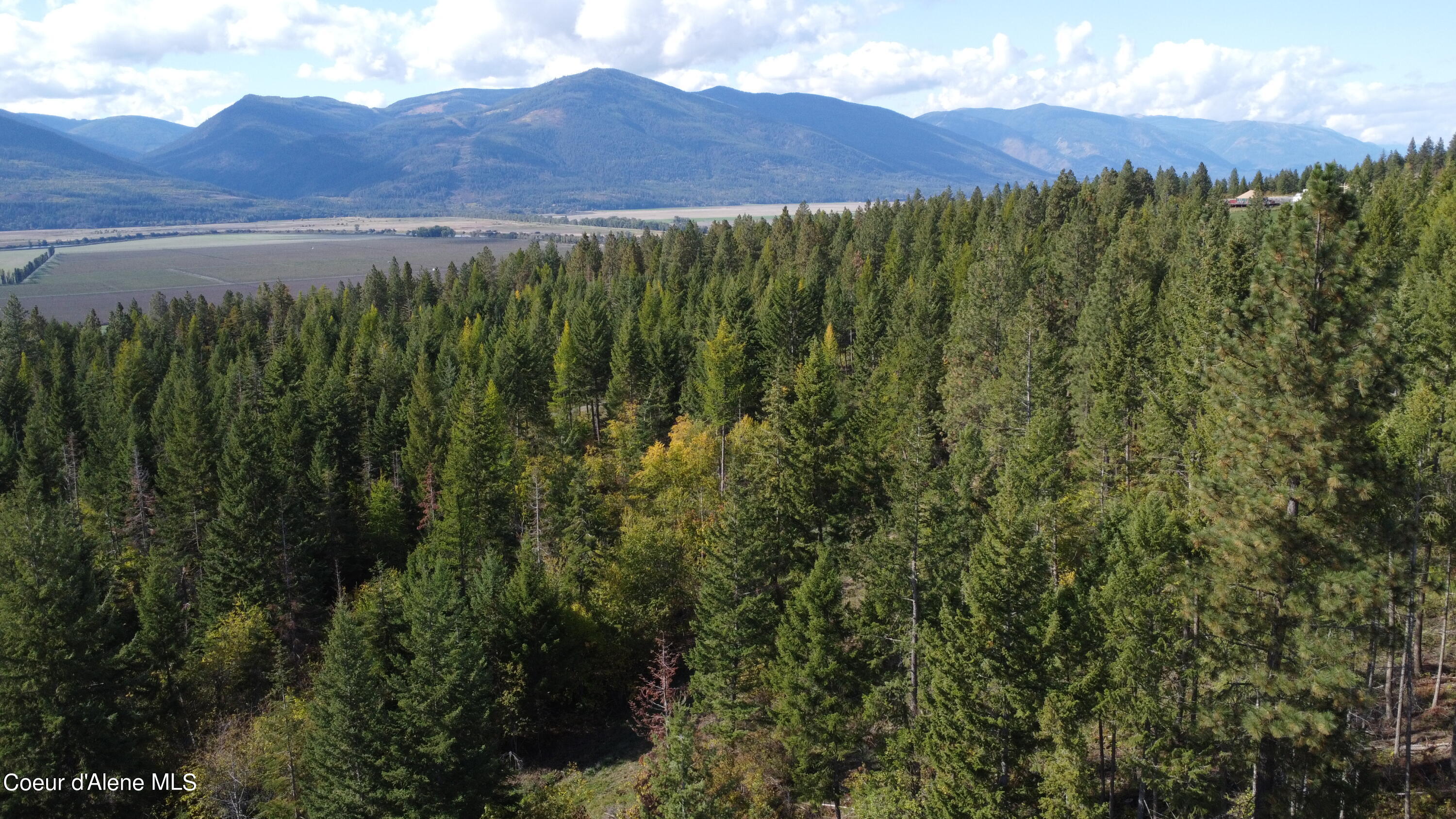 Nna Nna Bootlegger Lane Bonners Ferry, ID 83805 - Photo 10 of 11 DJI_0150