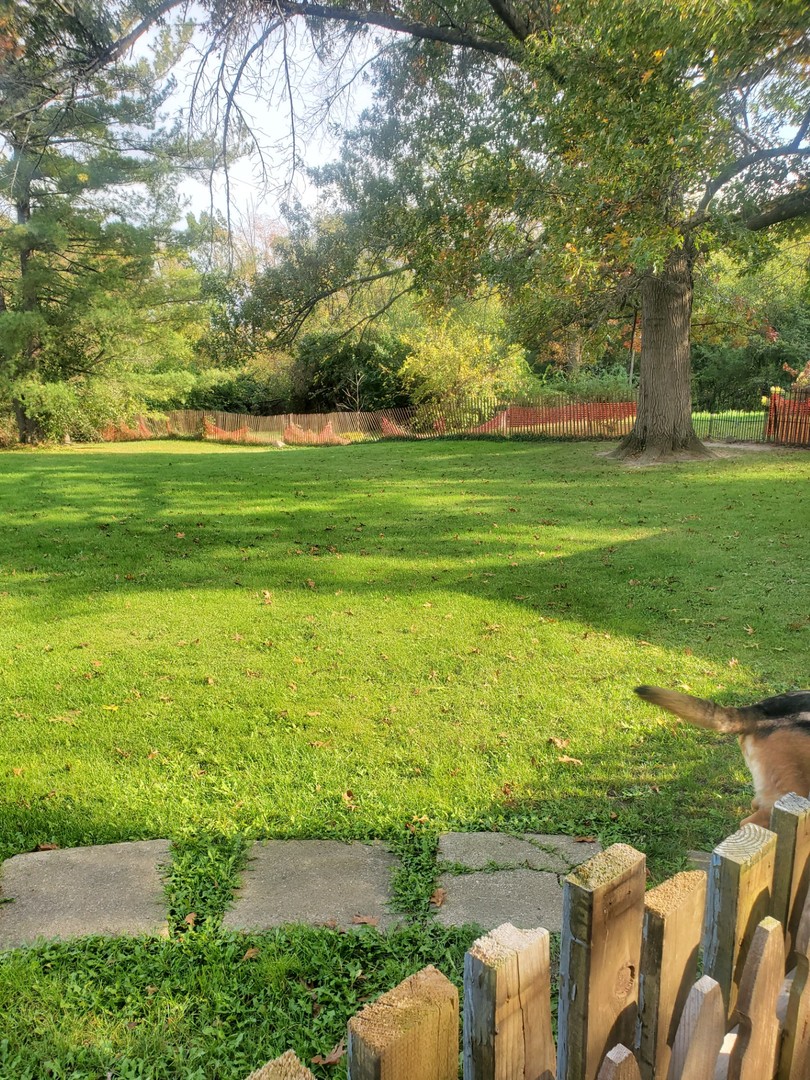 20525 Ridgeview Drive Marengo, IL 60152 - Photo 18 of 20 a view of a garden with lawn chairs