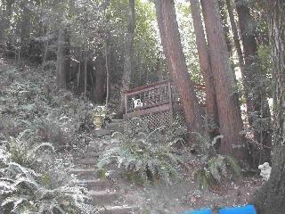 20677 Monte Rio Avenue Monte Rio, CA 95462 - Photo 3 of 5 Gallery Image 3