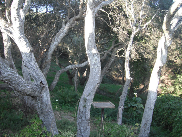 541 Strawberry Road Watsonville, CA 95076 - Photo 17 of 25 Gallery Image 17