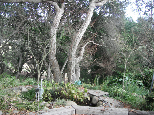 541 Strawberry Road Watsonville, CA 95076 - Photo 10 of 25 Gallery Image 10