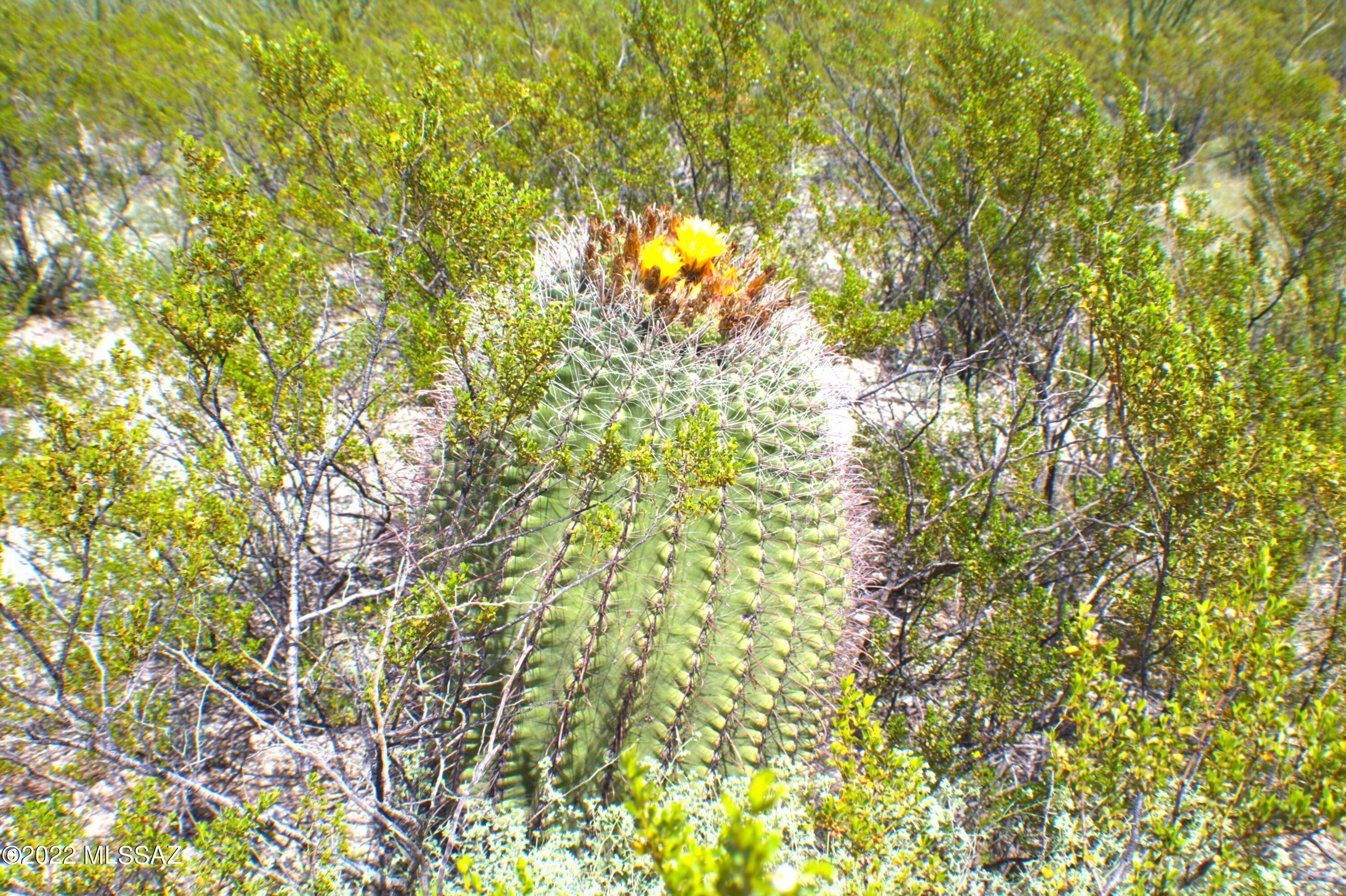 Tbd South Taurus Place Vail, AZ 85641 - Photo 21 of 30