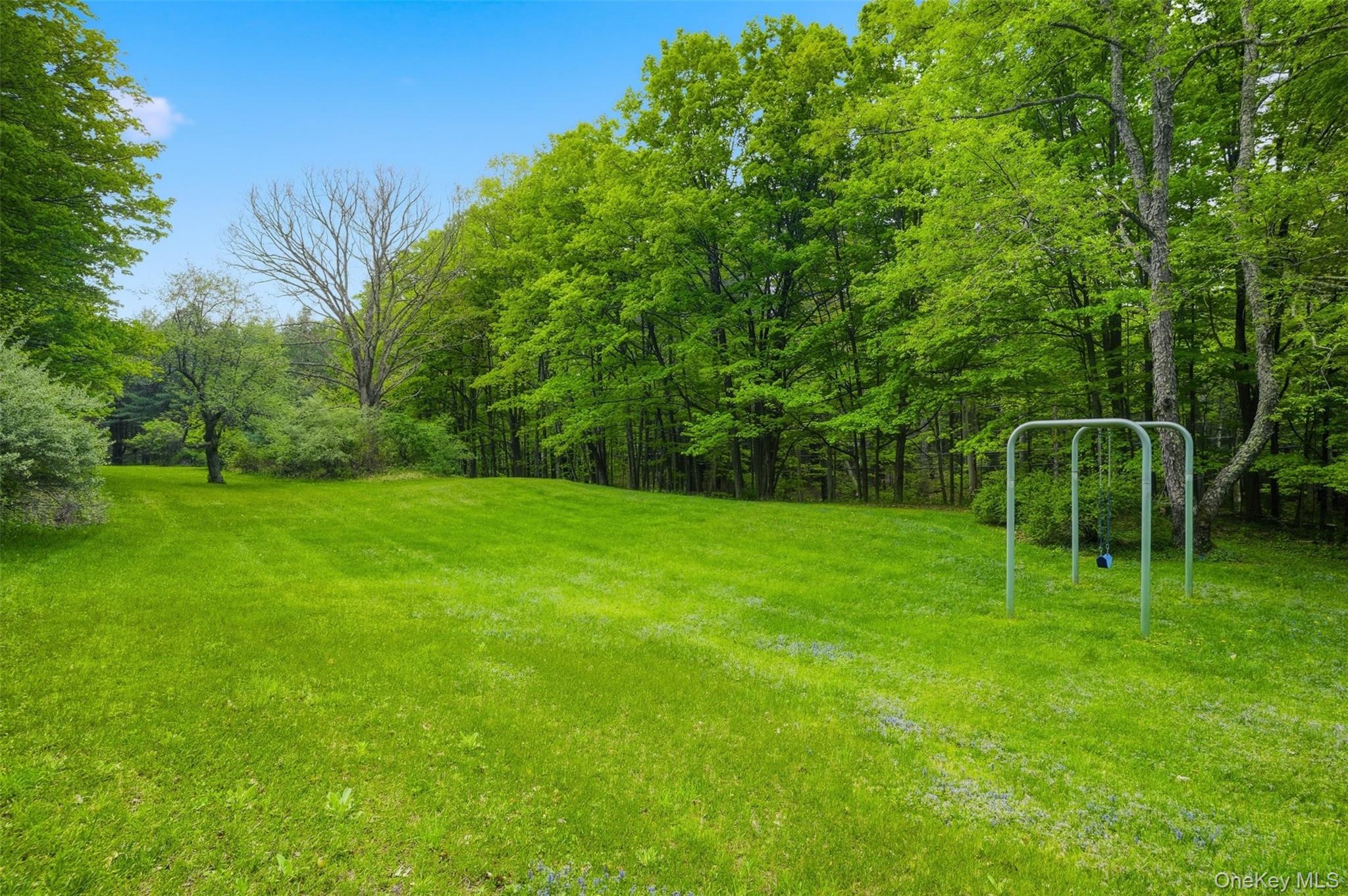 726 Wittenberg Road Mount Tremper, NY 12457 - Photo 26 of 32 a view of a park