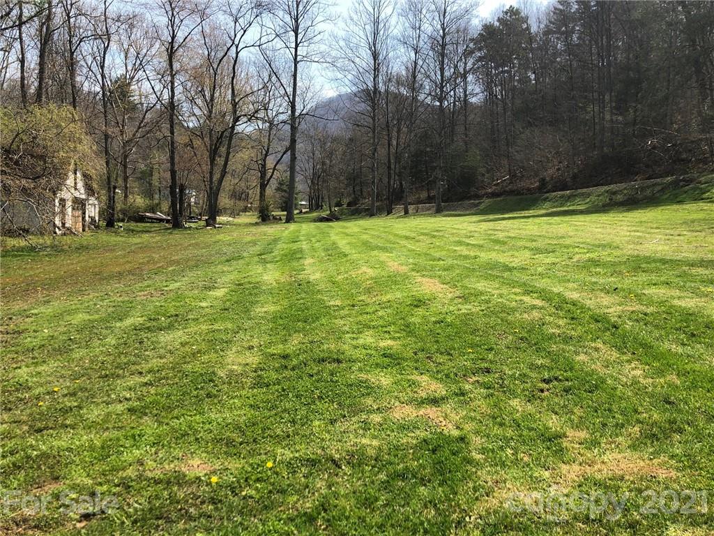 289 Long Branch Road Clyde, NC 28721 - Photo 27 of 44 a view of yard with trees