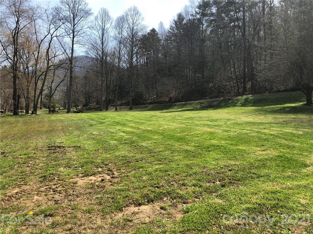289 Long Branch Road Clyde, NC 28721 - Photo 28 of 44 a view of a yard with large trees