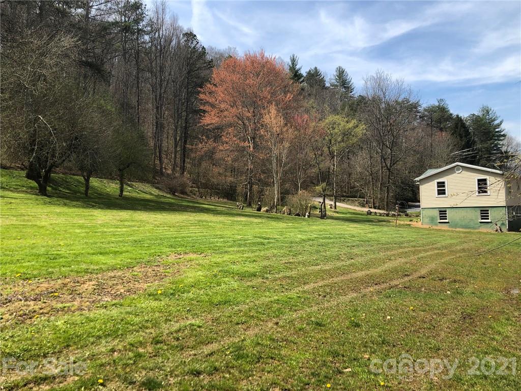 289 Long Branch Road Clyde, NC 28721 - Photo 29 of 44 a front view of a house with garden