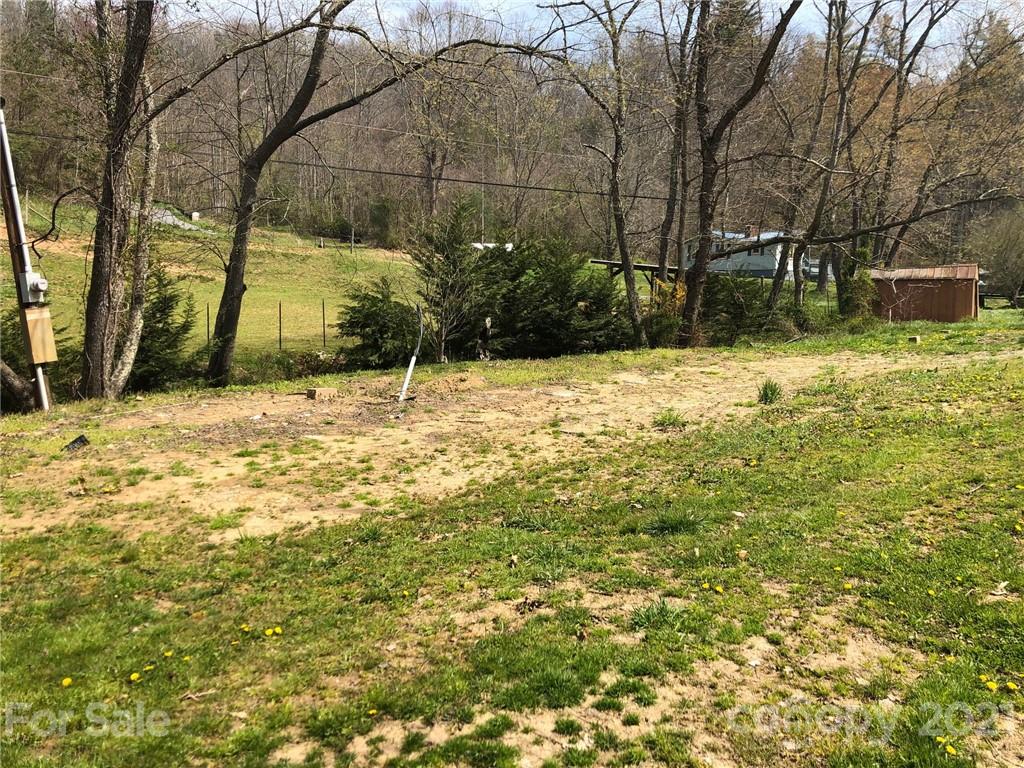 289 Long Branch Road Clyde, NC 28721 - Photo 34 of 44 a backyard of a house with large trees