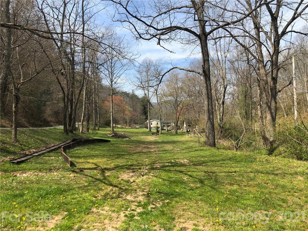 289 Long Branch Road Clyde, NC 28721 - Photo 35 of 44 a view of a park with large trees