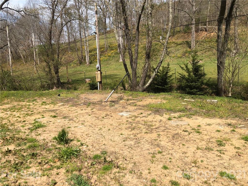 289 Long Branch Road Clyde, NC 28721 - Photo 38 of 44 a backyard of a house with a large tree