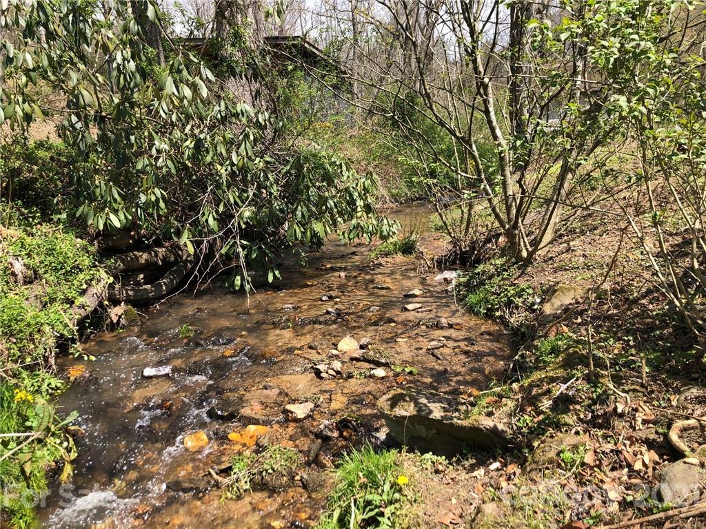289 Long Branch Road Clyde, NC 28721 - Photo 40 of 44 a view of a tree