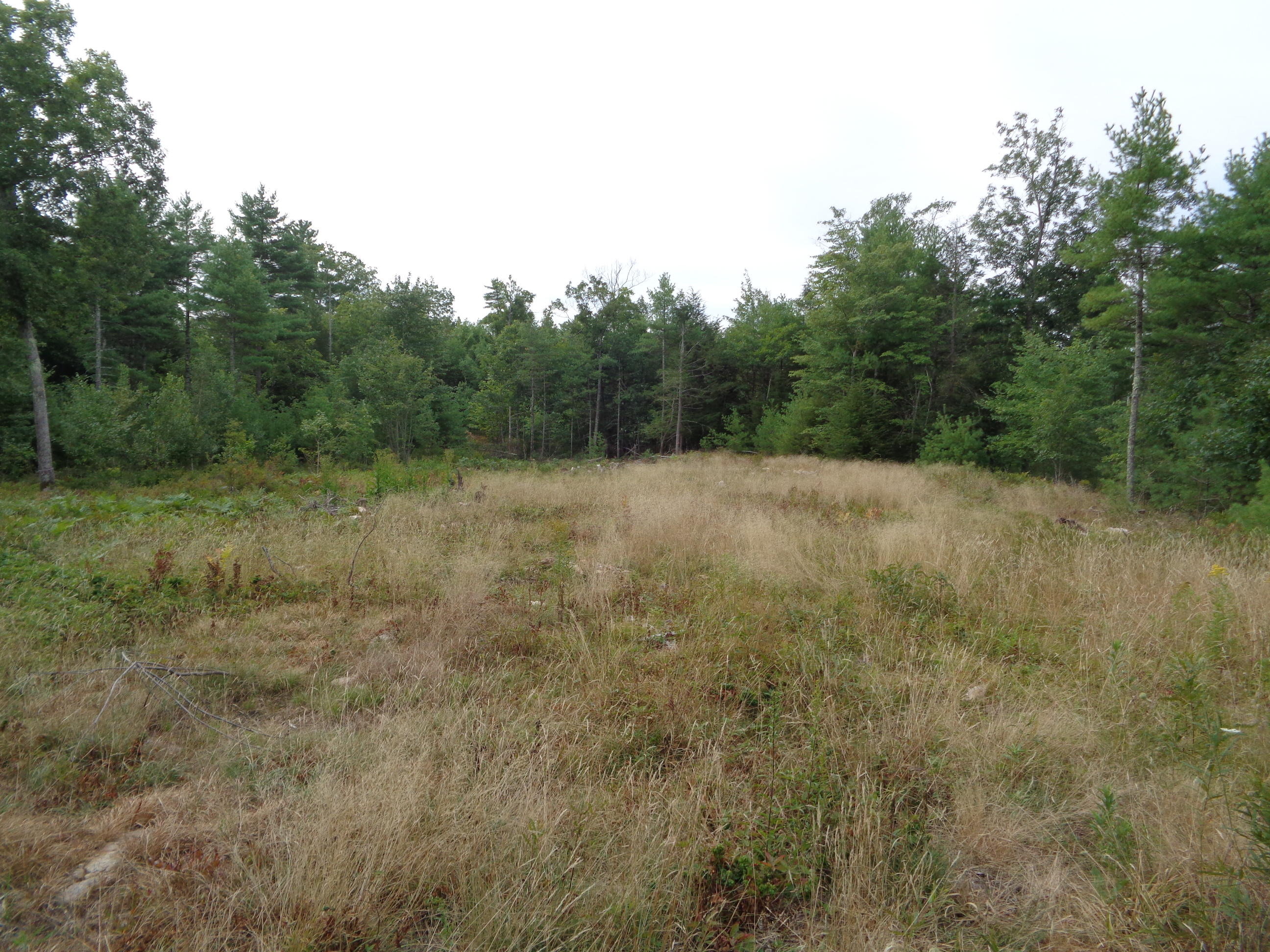 0 Hockomock Road Woolwich, ME 04579 - Photo 11 of 19 DSC00184