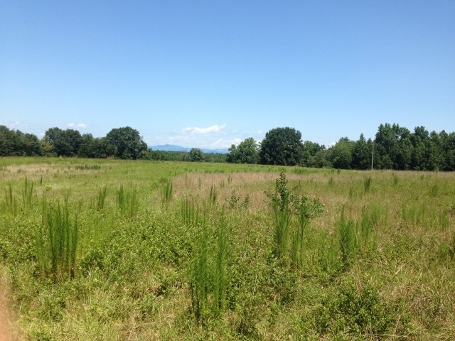 0 Quarry Road Liberty, SC 29657 - Photo 2 of 9 Gallery Image 2