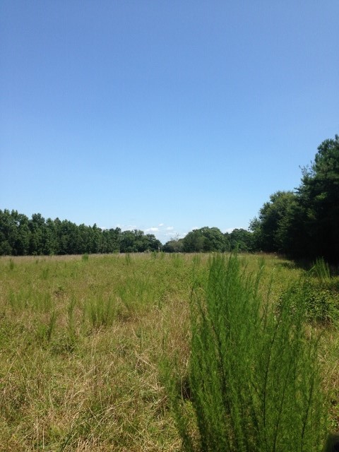 0 Quarry Road Liberty, SC 29657 - Photo 3 of 9 Gallery Image 3