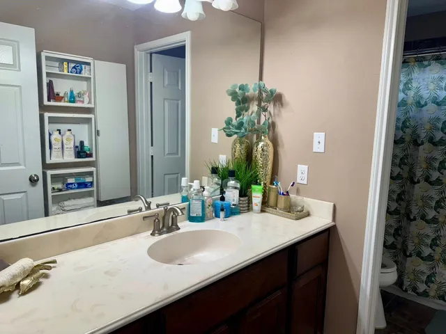 a bathroom with a sink toilet and shower
