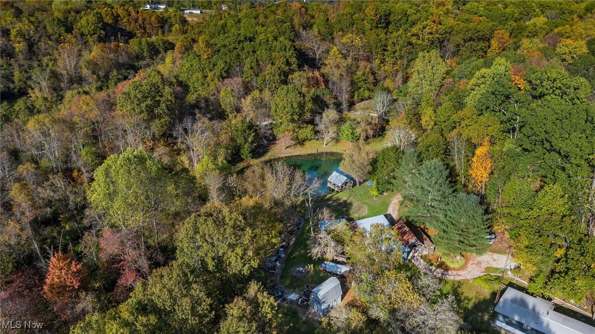 3278 Rough And Ready Road New Concord, OH 43762 - Photo 19 of 28 Aerial view of a forest