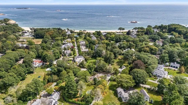 a view of a bunch of trees and bushes