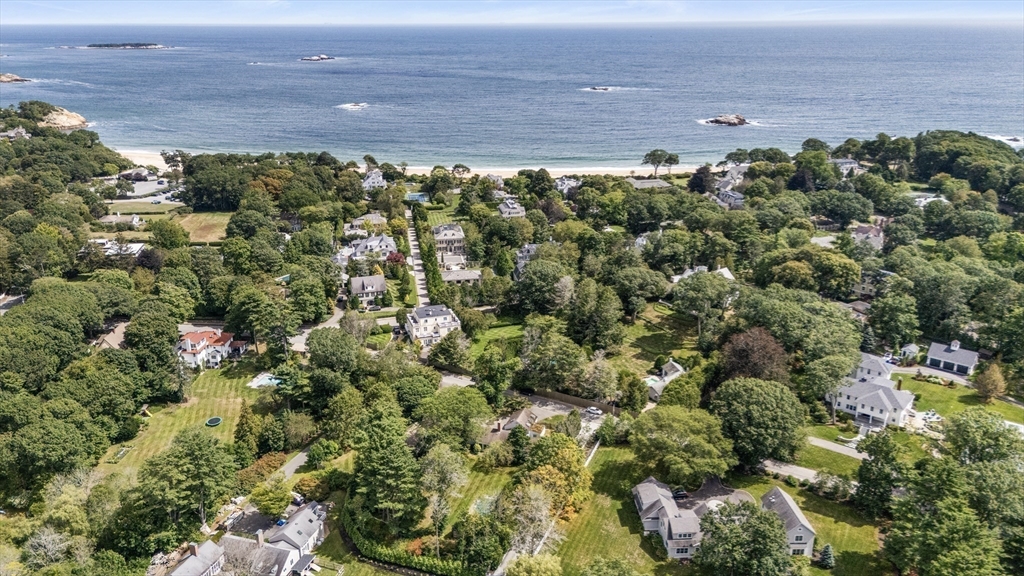 3 Proctor Street Manchester, MA 01944 - Photo 12 of 41 a view of a bunch of trees and bushes