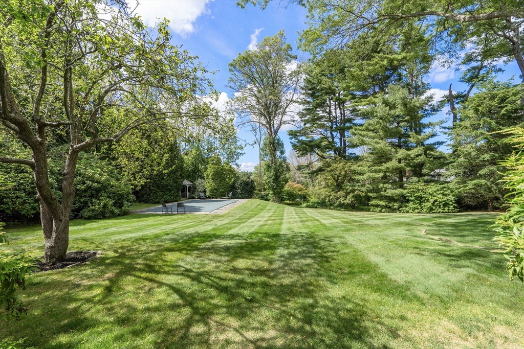 3 Proctor Street Manchester, MA 01944 - Photo 40 of 41 a view of a field with a tree