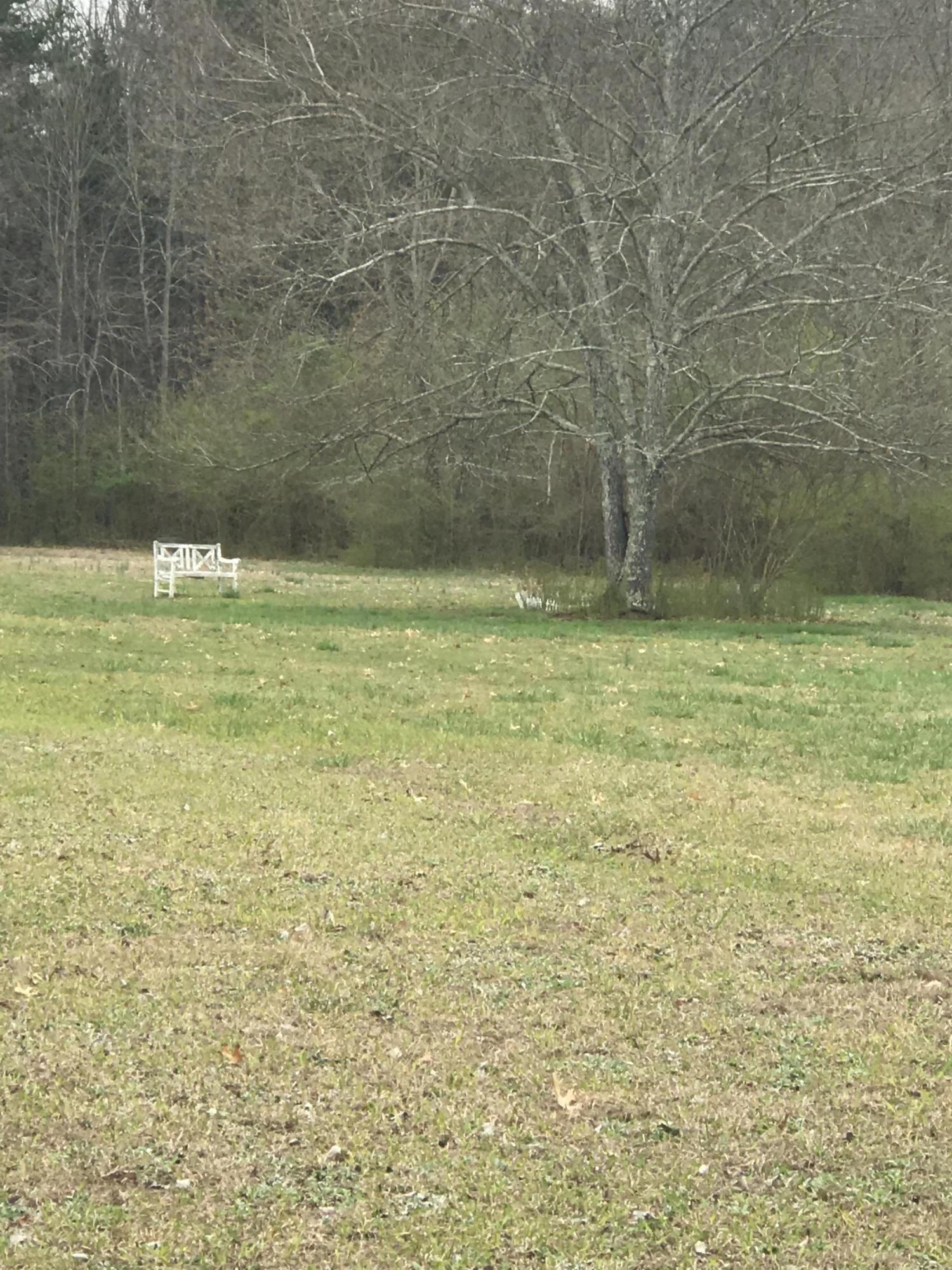 0 Ooltewah Georgetown Road Charleston, TN 37310 - Photo 3 of 6 1FF3E206-E1E3-43ED-BED3-84F3AC917419