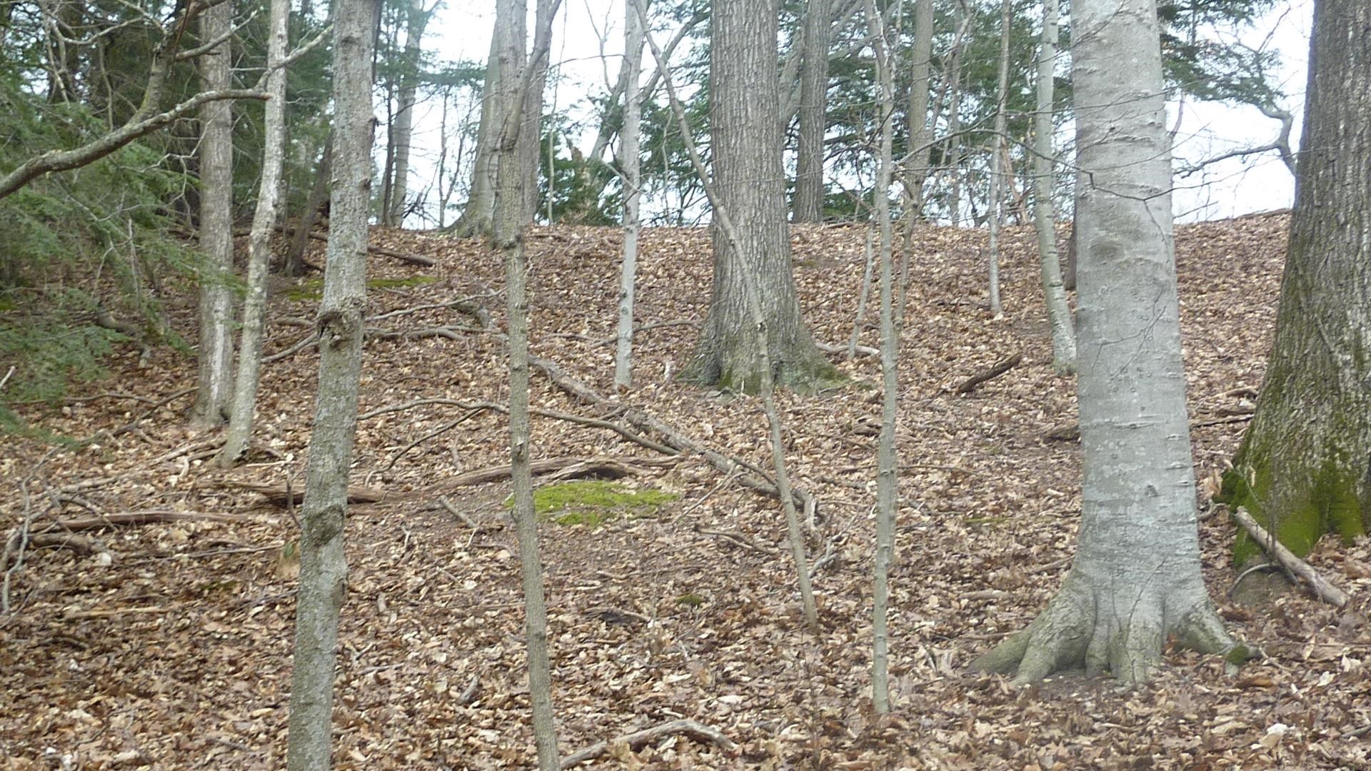 0 Old State Road Frankfort, MI 49635 - Photo 16 of 17