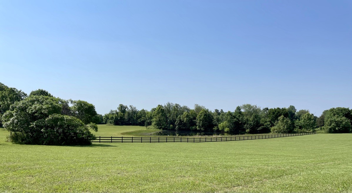 580 Womack Road Bethpage, TN 37022 - Photo 1 of 11 a view of a grassy field with trees in the background