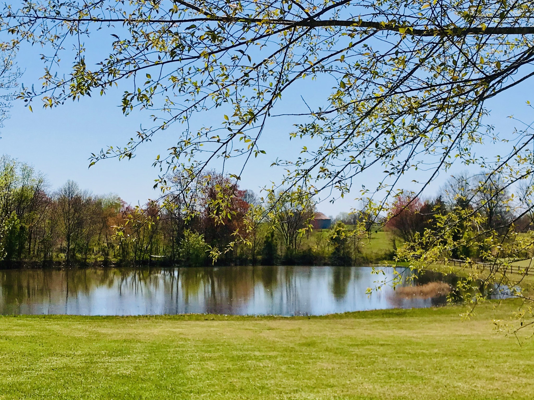 580 Womack Road Bethpage, TN 37022 - Photo 3 of 11 a view of lake from yard