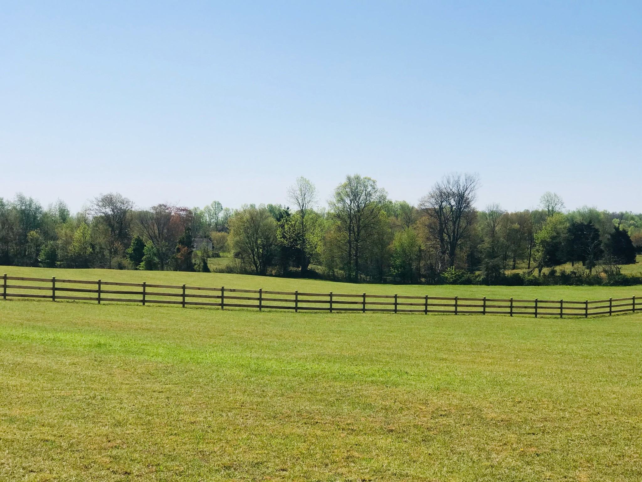 580 Womack Road Bethpage, TN 37022 - Photo 8 of 11 a view of a swimming pool with a yard