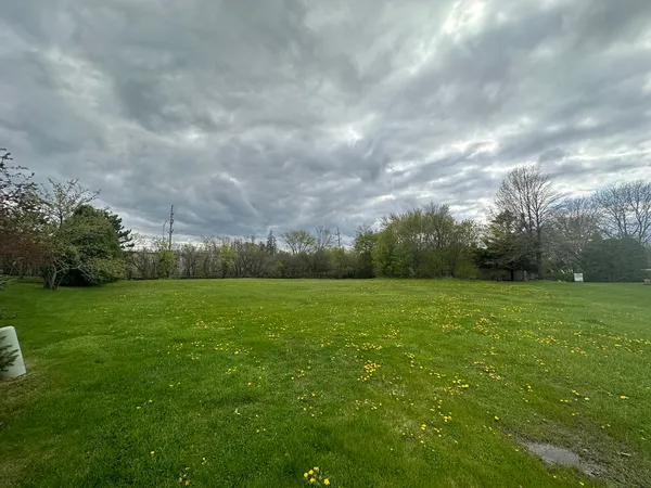 a view of field and grass