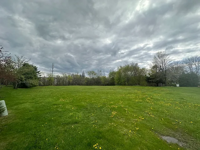 a view of field and grass
