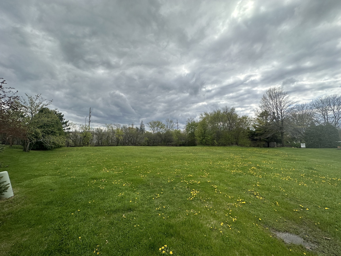 a view of field and grass