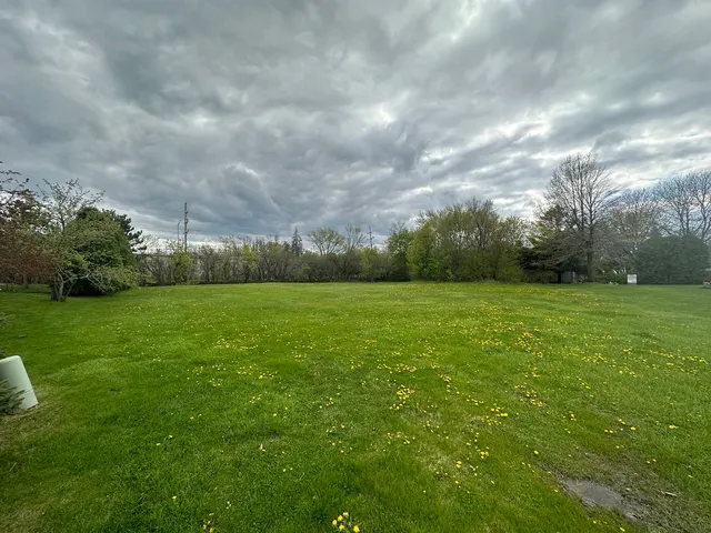 a view of a green field with clear sky