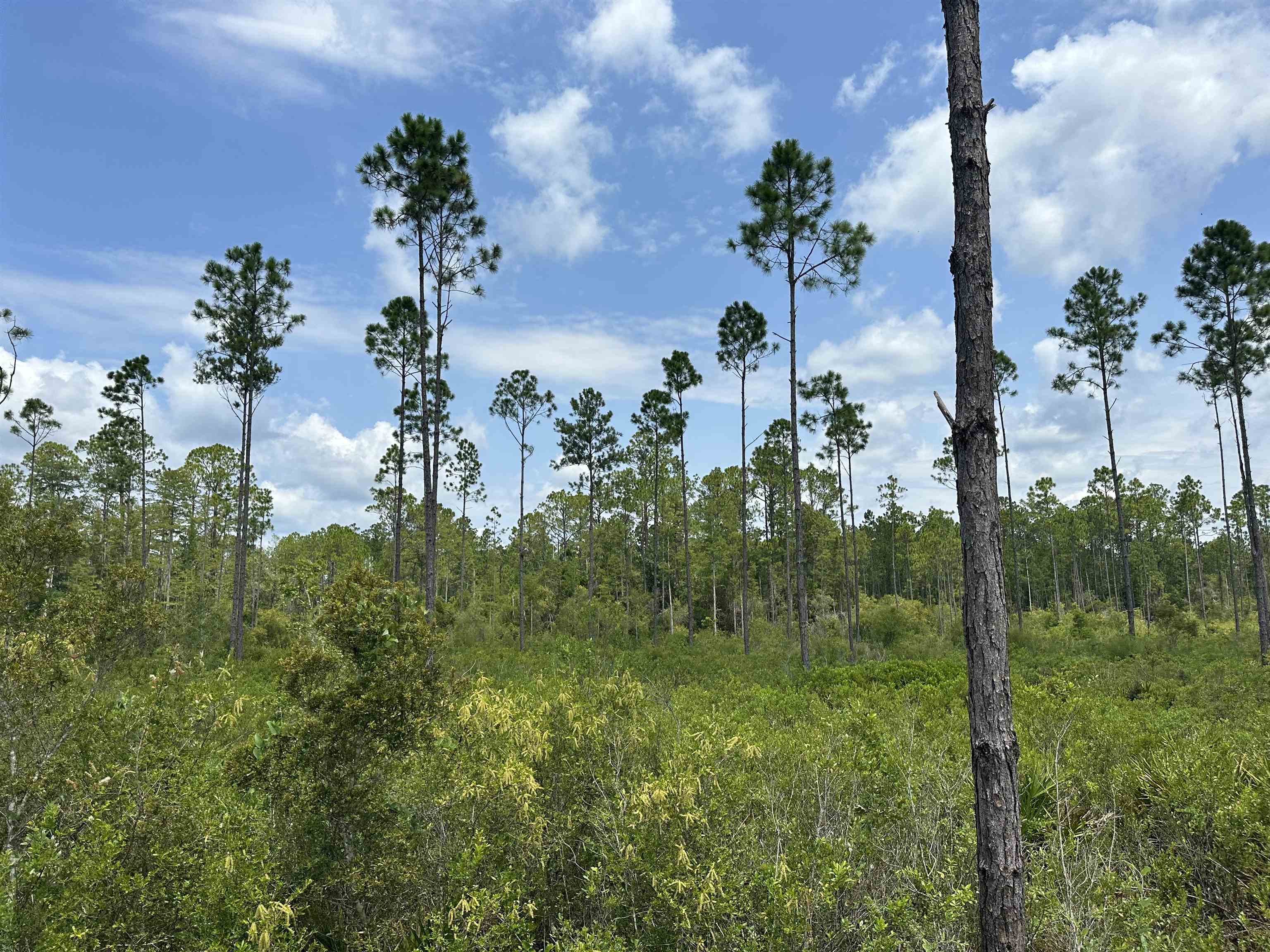 90 Circle Block Loop Greenville, FL 32331 - Photo 19 of 42