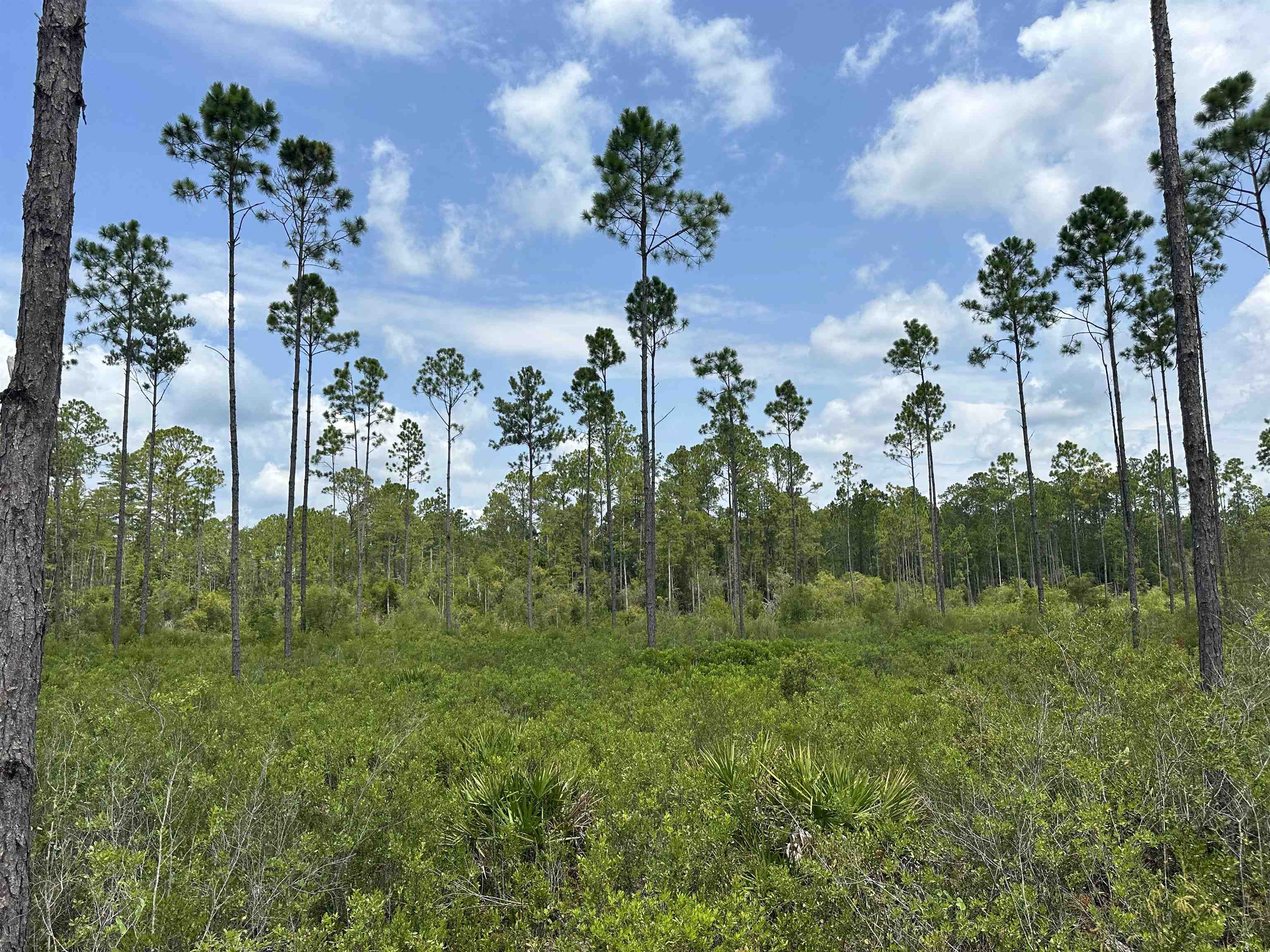 90 Circle Block Loop Greenville, FL 32331 - Photo 20 of 42