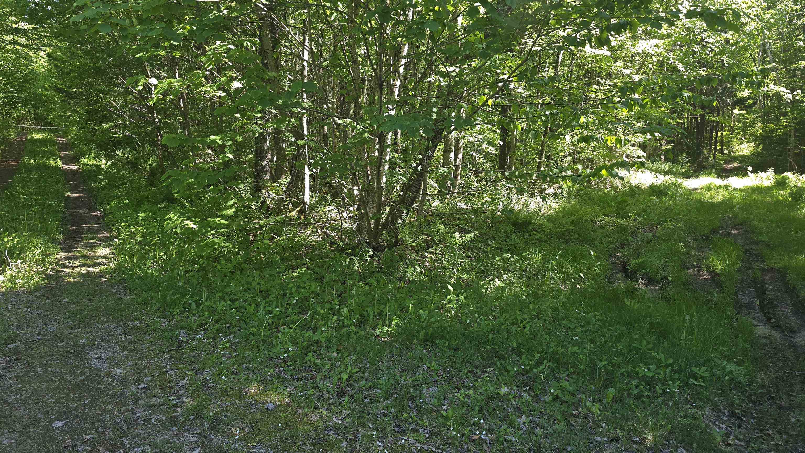 1029 Stark Highway Stark, NH 03582 - Photo 23 of 26