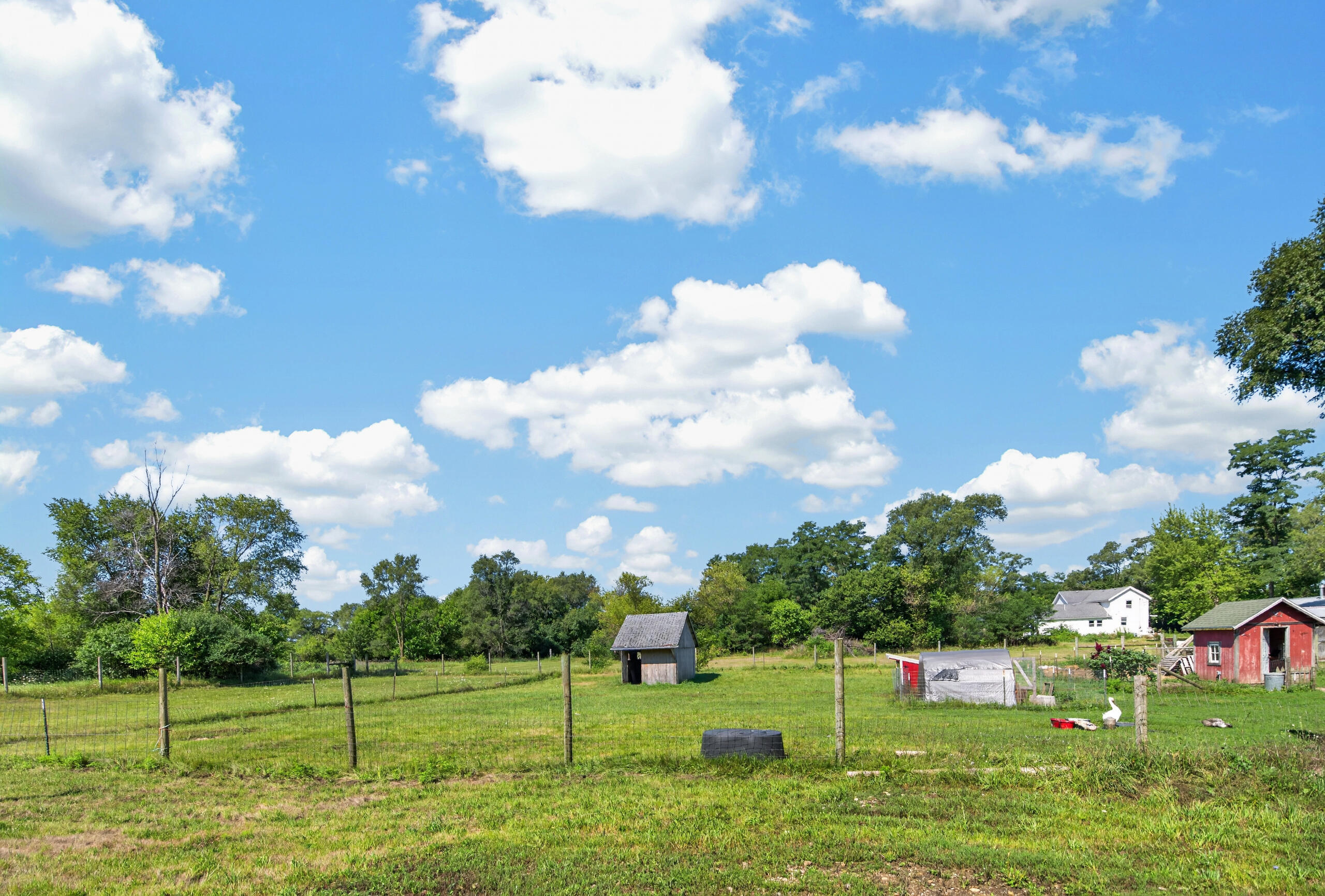 W4815 Bluff Road Troy, WI 53120 - Photo 5 of 44 Yard