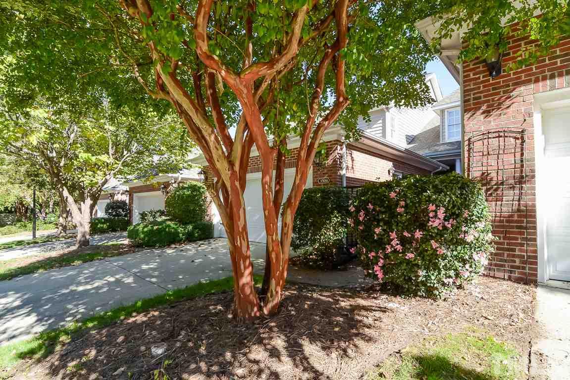 3504 Proprietor Way Raleigh, NC 27612 - Photo 2 of 25 a tree in the garden of a building