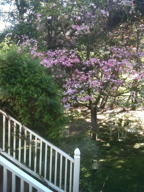 22 Troy Road Belmont, MA 02478 - Photo 16 of 29 Gallery Image 16