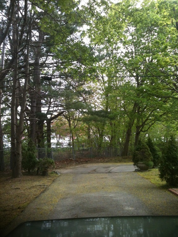 22 Troy Road Belmont, MA 02478 - Photo 4 of 29 Gallery Image 4