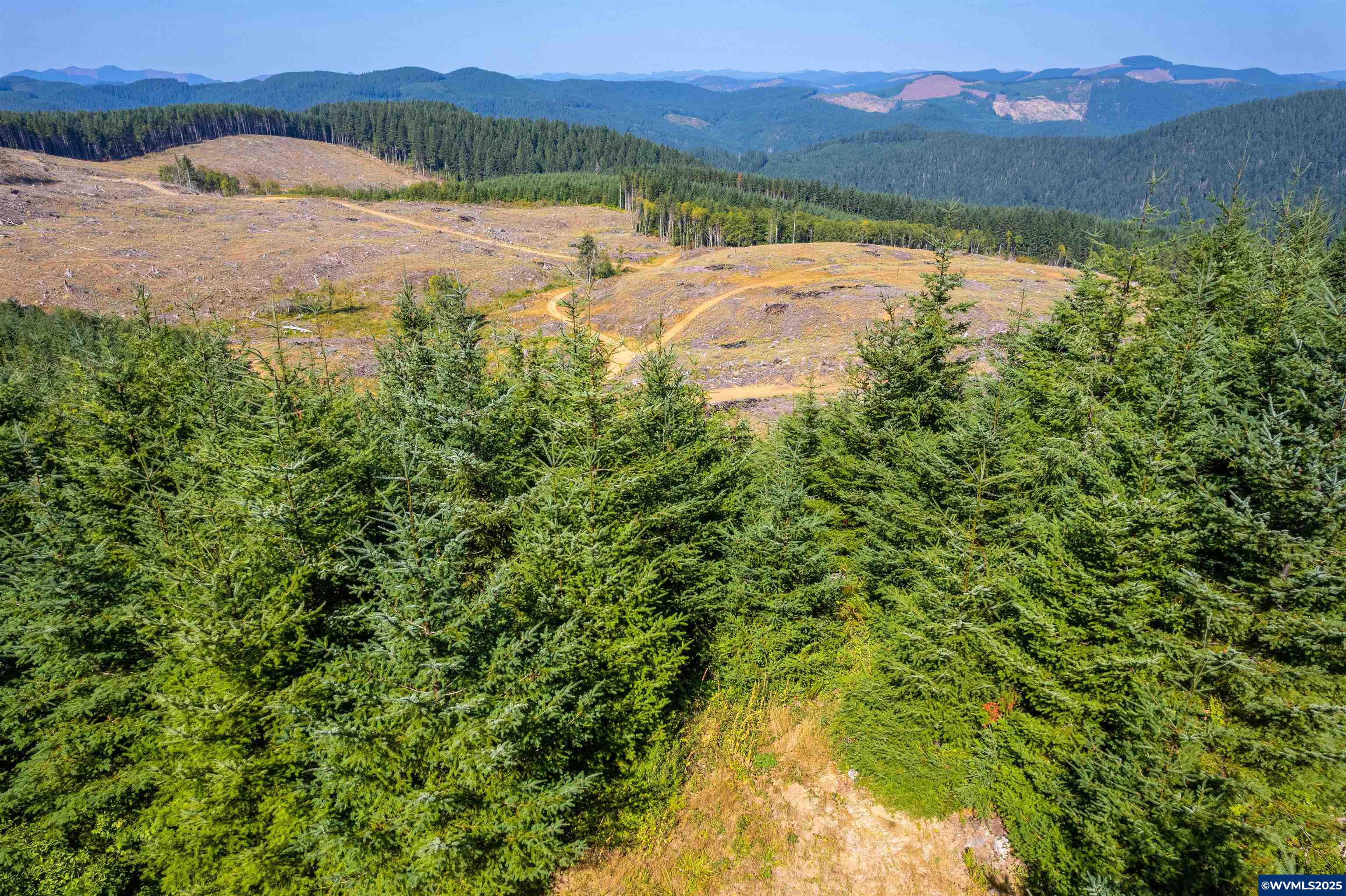 0 Bald Mountain Access Road Willamina, OR 97396 - Photo 20 of 30