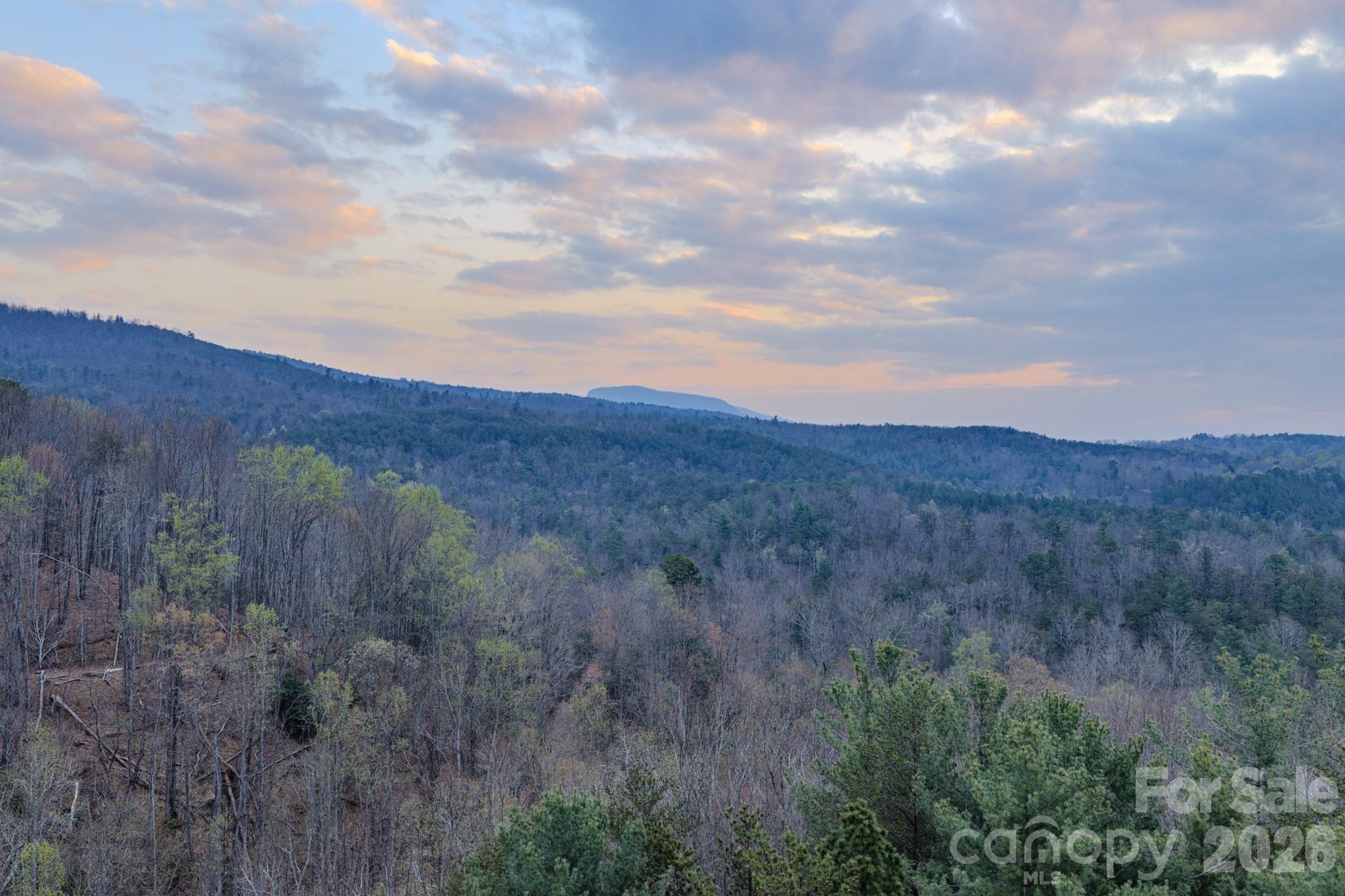 9147 Shortoff View Terrace Nebo, NC 28761 - Photo 2 of 48 a view of mountains and valleys
