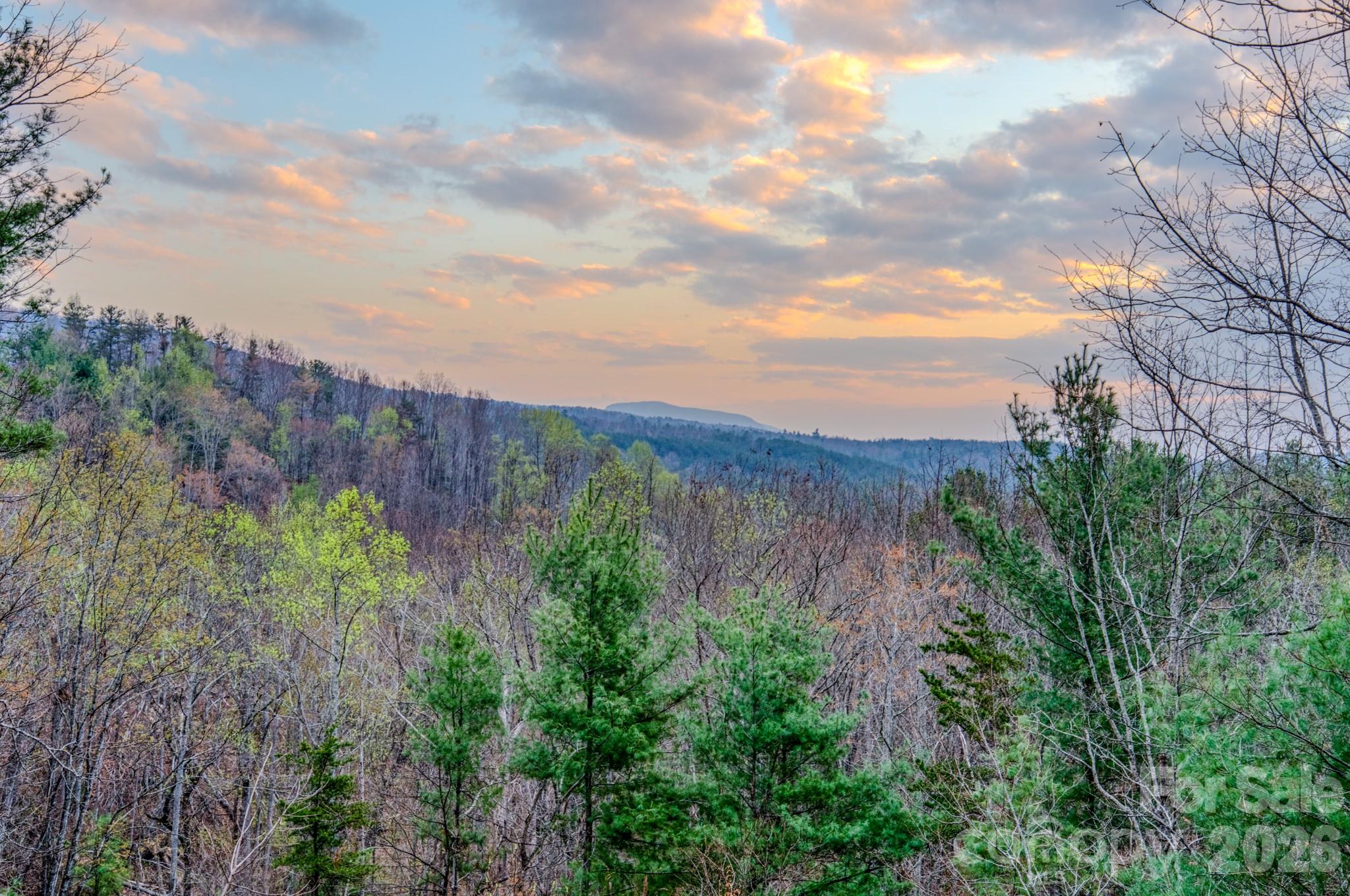 9147 Shortoff View Terrace Nebo, NC 28761 - Photo 3 of 48 a view of a bunch of trees and bushes
