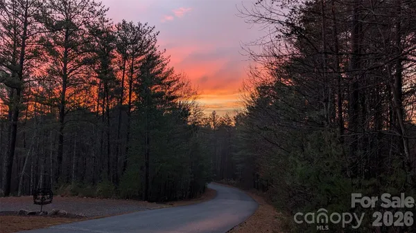 a view of a city with lush green forest