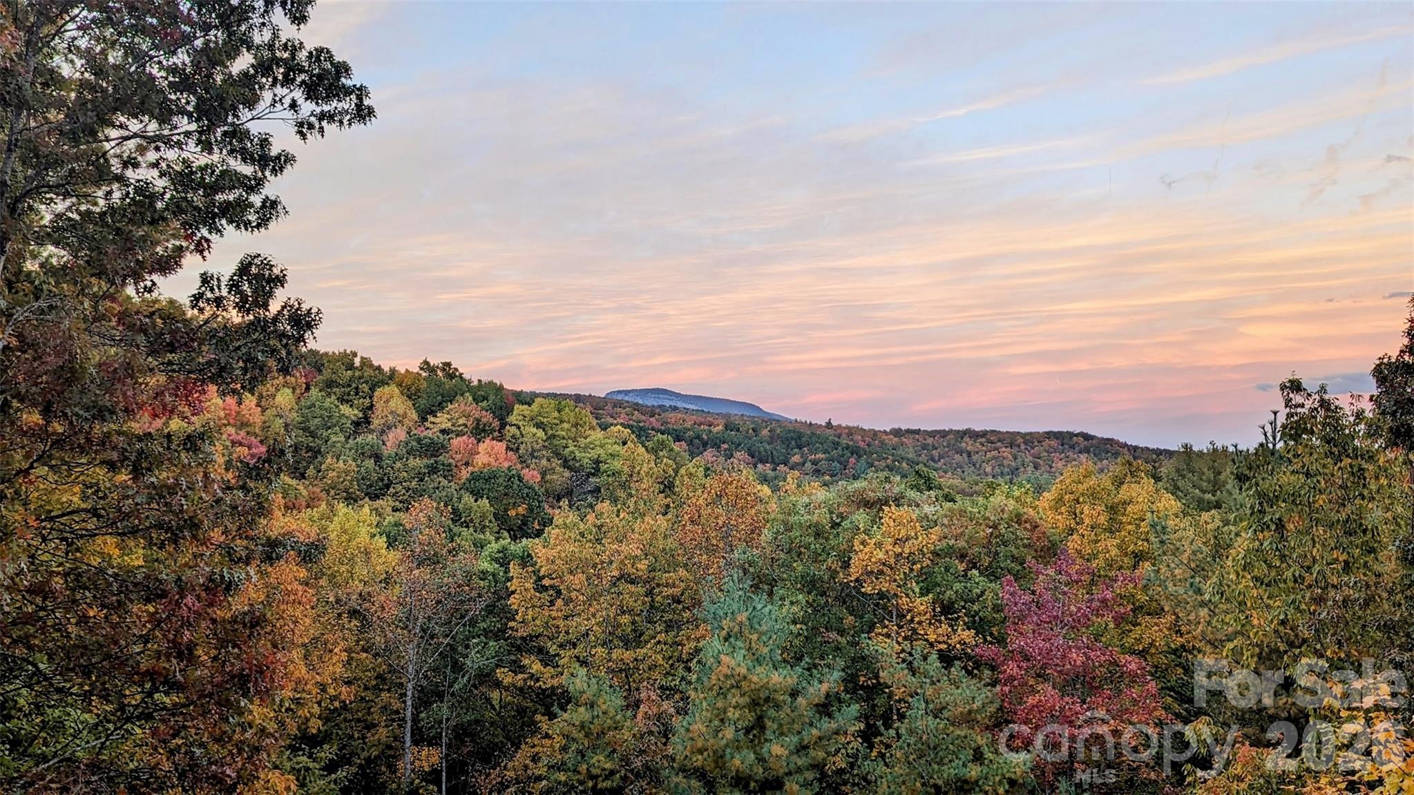 9147 Shortoff View Terrace Nebo, NC 28761 - Photo 45 of 48 a view of a city with lush green forest